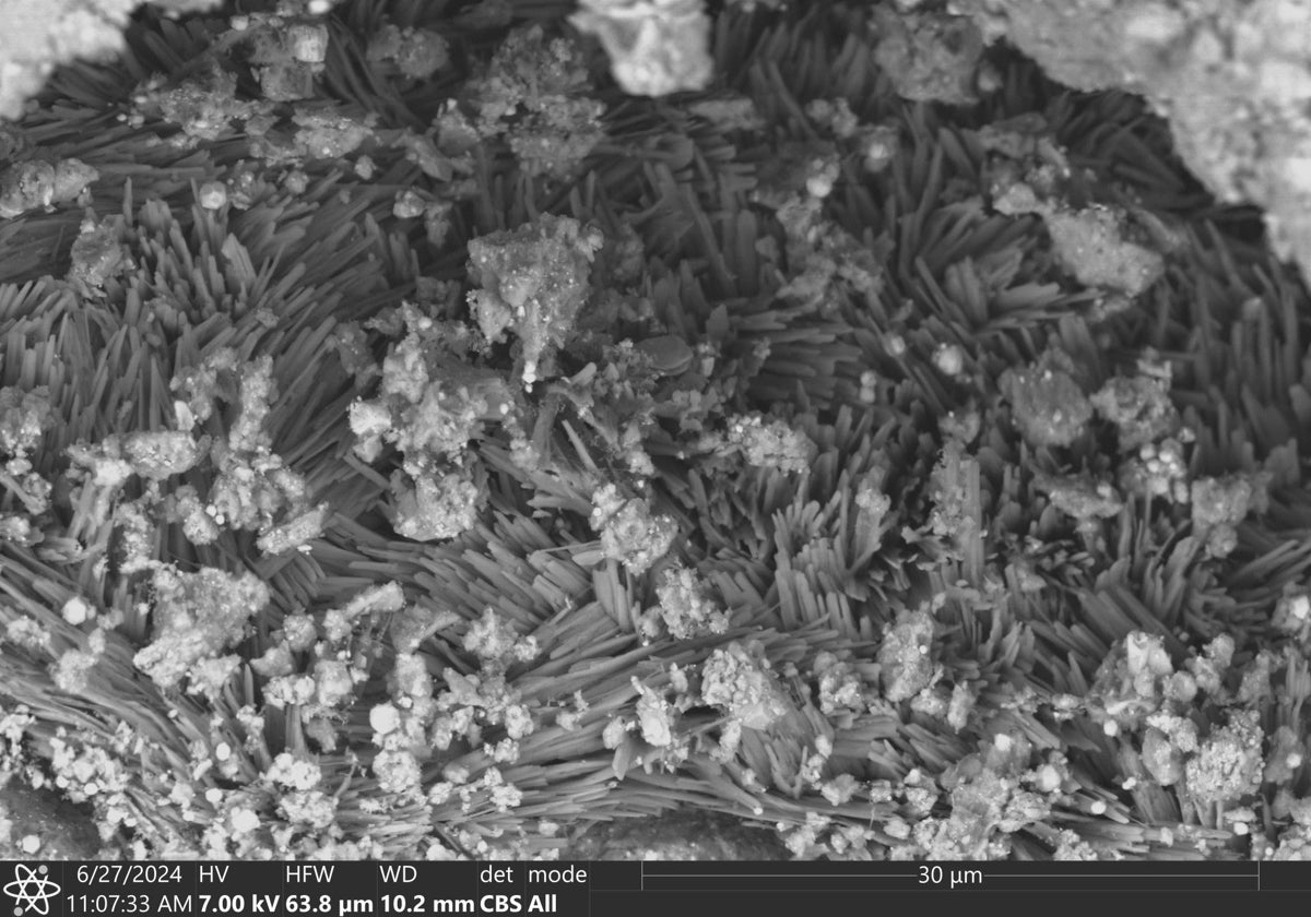 Imagen de microscopio electrónico de trona, mezcla de carbonato de sodio con agua, encontrado en muestras del asteroide Bennu