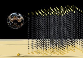 30 veces más de lo normal: detectan el neutrino más energético observado hasta ahora