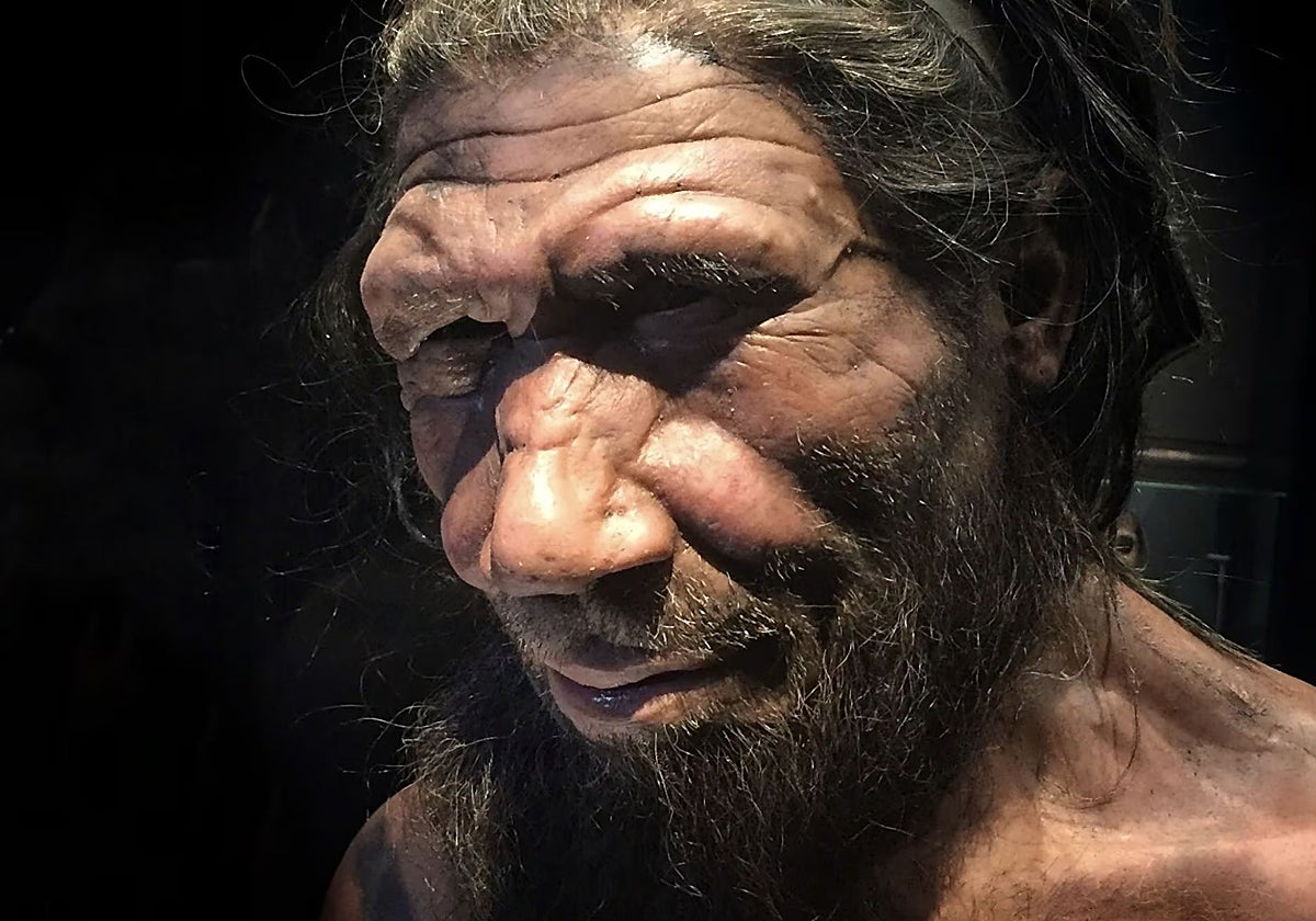 Recreación de un hombre neandertal en el Museo de Historia Natural de Londres