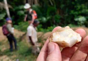 Sorpresa: las selvas no fueron una barrera para los primeros humanos, sino un hogar hace ya 150.000 años