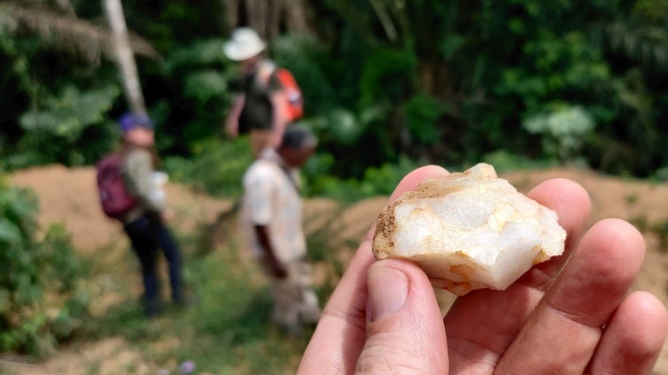 Sorpresa: las selvas no fueron una barrera para los primeros humanos, sino un hogar hace ya 150.000 años