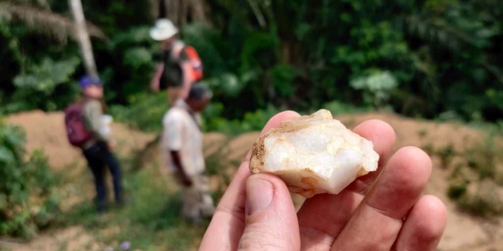 Sorpresa: las selvas no fueron una barrera para los primeros humanos, sino un hogar hace ya 150.000 años