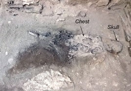 Hallan el misterioso 'cerebro de cristal' de una víctima de la erupción del Vesubio en el año 79