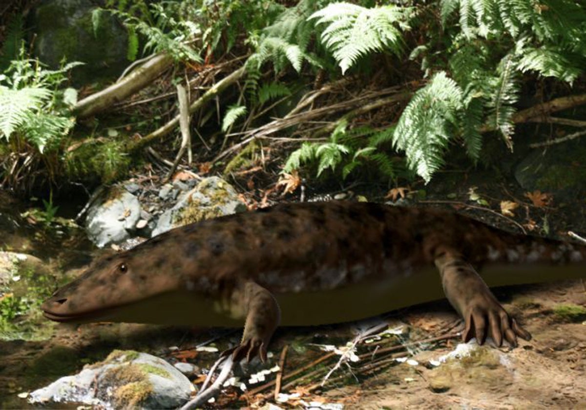 Ejemplar de Eryops Megacephalus, un tipo de temnospóndilo Pérmico temprano de América del Norte