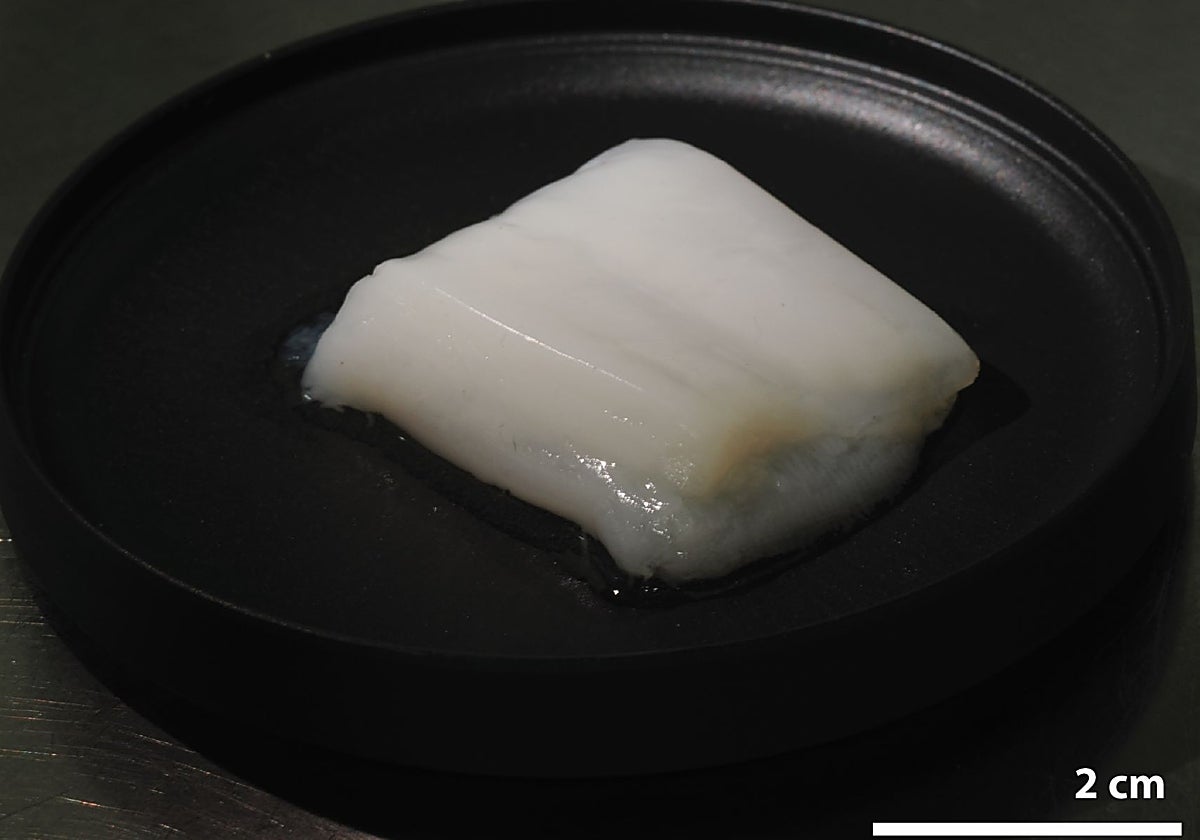 El trozo de pollo cultivado