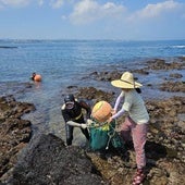 Descubren el secreto genético de las haenyeo, las 'mujeres del mar' coreanas que bucean incluso embarazadas