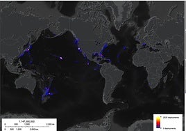 Un nuevo estudio revela que sólo hay imágenes del 0,001% de los fondos marinos de la Tierra