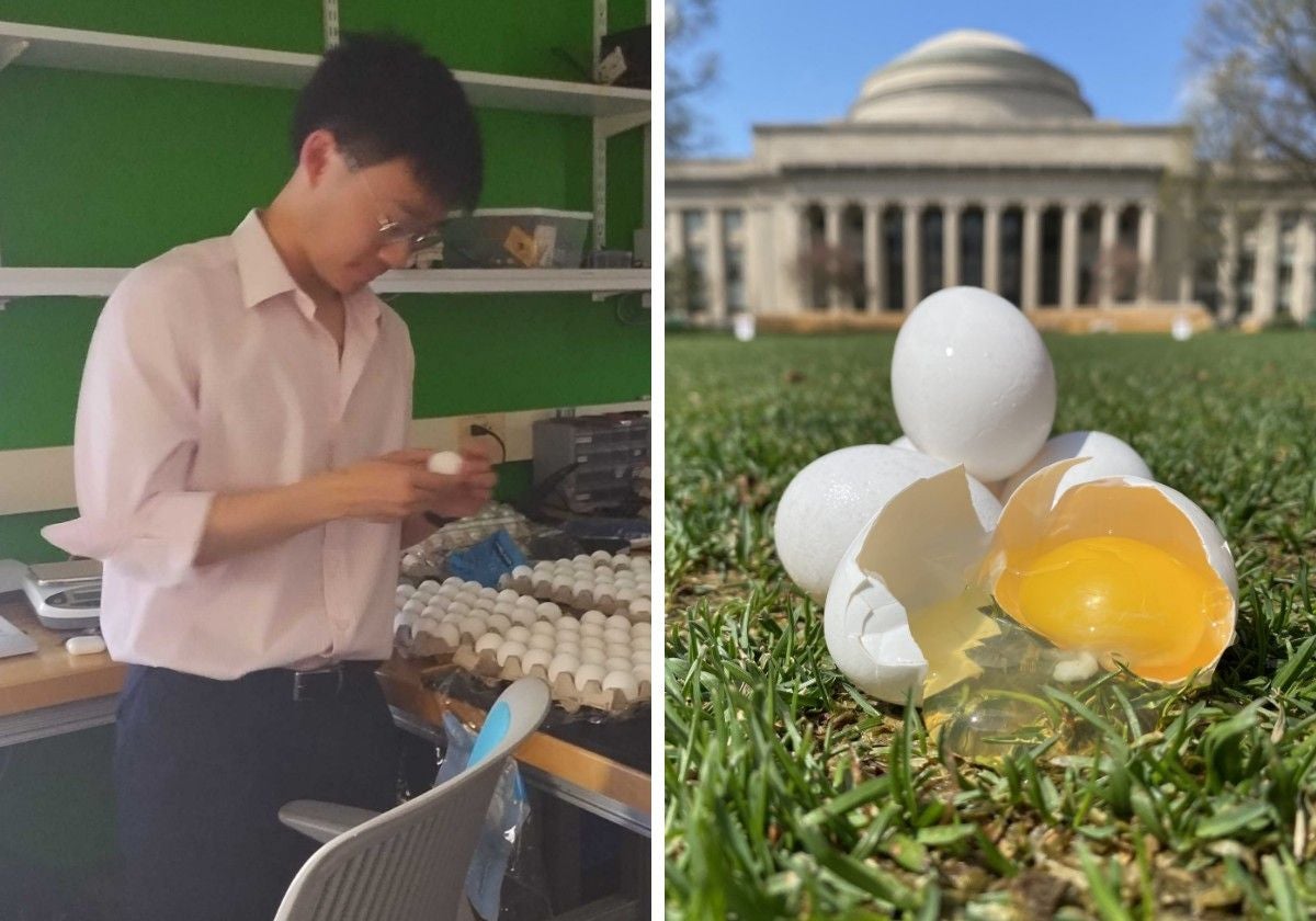 Un investigador toma medidas de los huevos antes de realizar el experimento. A la derecha, algunos de los huevos utilizados frente a la cúpula del MIT