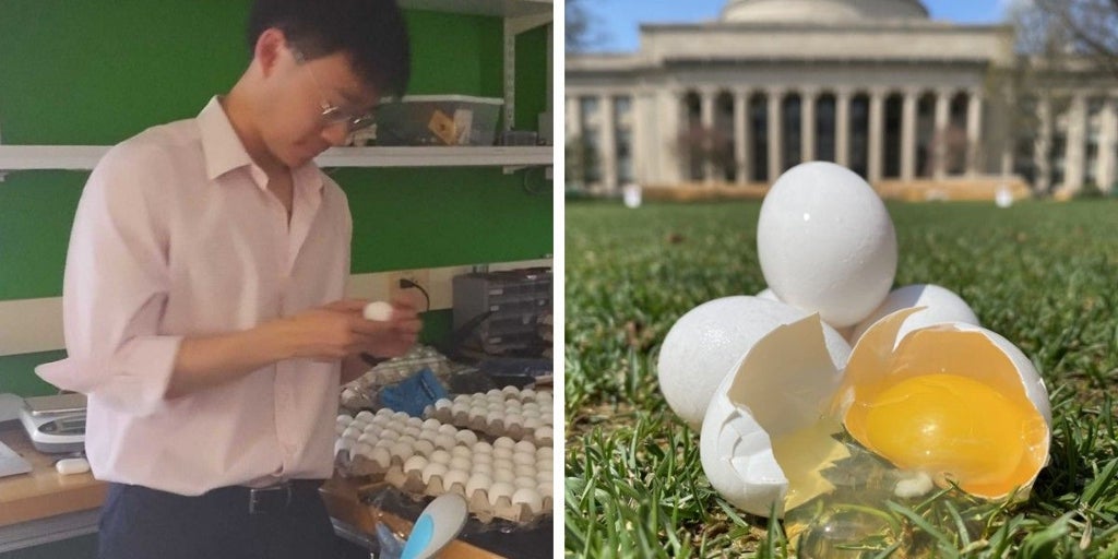 Físicos del MIT concluyen que los huevos se rompen más si caen en vertical
