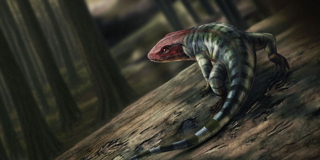 Revolución en la paleontología: la vida abandonó los mares 35 millones de años antes de lo que se creía