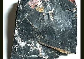 El secreto milenario de la roca negra