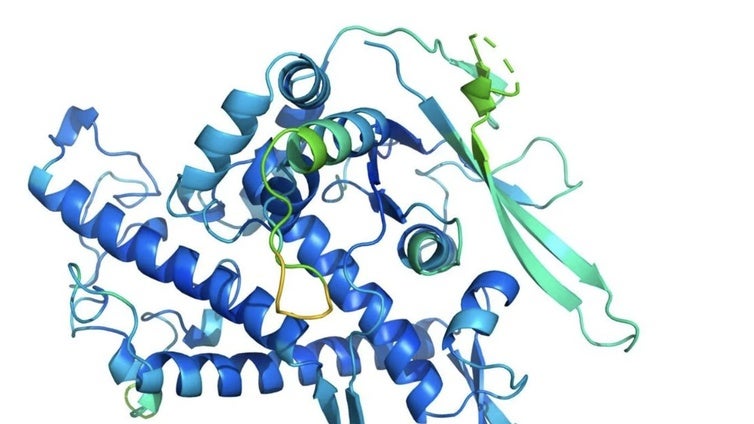 La revolución de las proteínas dinámicas: cómo la IA está desbloqueando los secretos de la vida