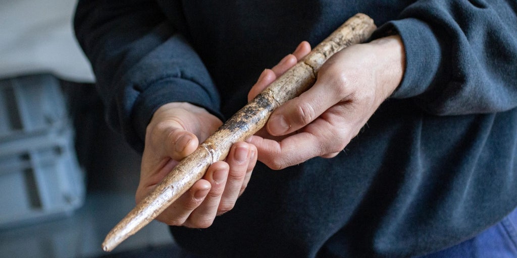 Las primeras armas de hueso de ballena, fabricadas hace 20.000 años en el Golfo de Vizcaya