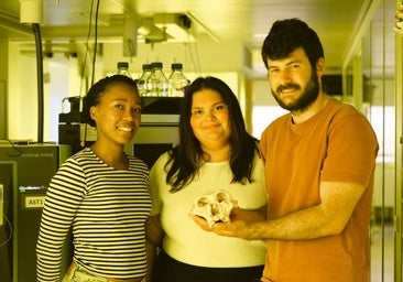 Recuperan proteínas de dientes de homínidos africanos de hace 2 millones de años