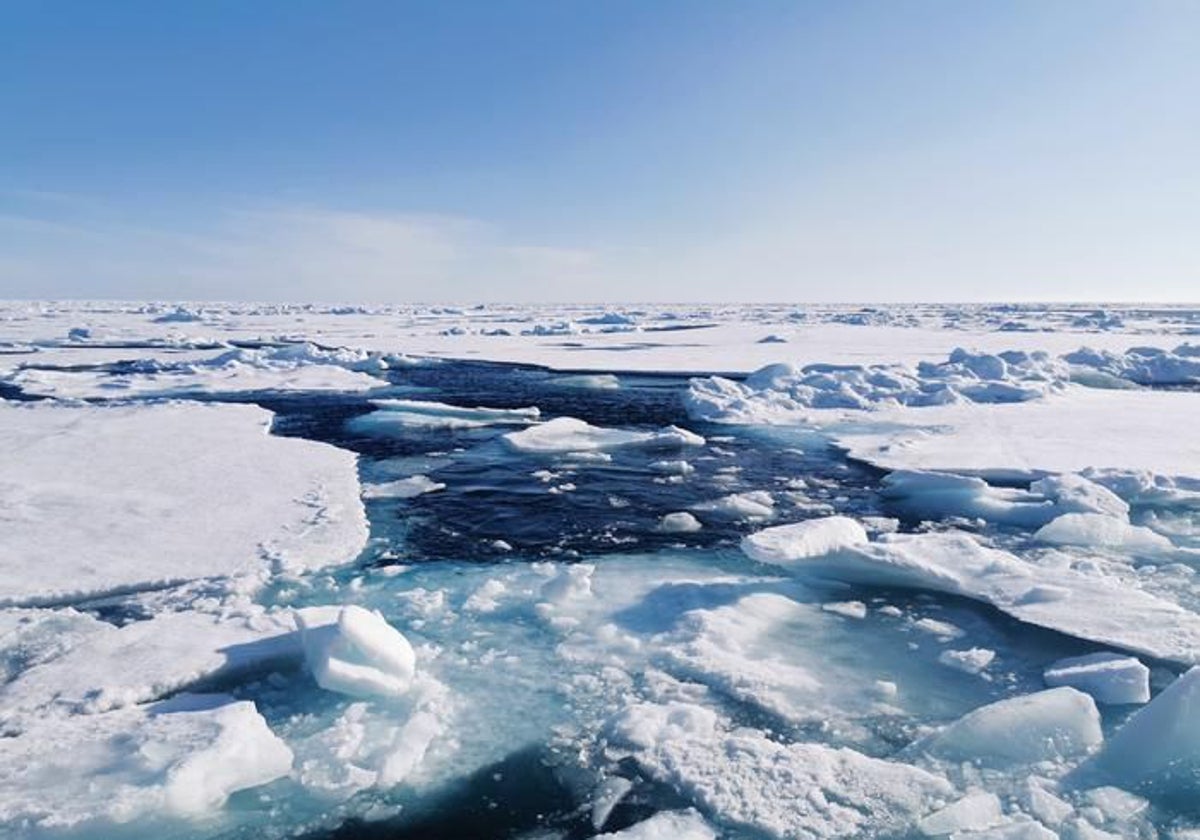 Vista del océano Ártico, donde el hielo se mezcla con aguas abiertas que permiten la actividad biológica