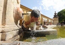 La última ola de calor mató a casi medio millar de personas en las ciudades de Madrid y Barcelona