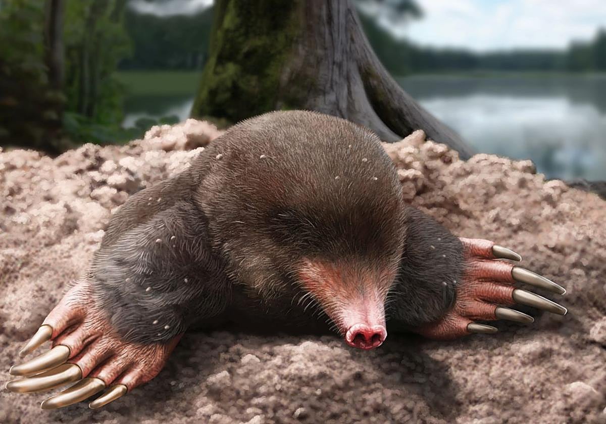 Reconstrucción realista de Vulcanoscaptor ninoti