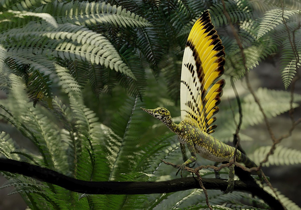 Descubierto un reptil con una cresta de &#039;plumas&#039; que parece sacado de un cuento de hadas