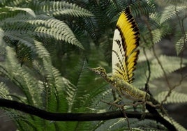 Descubierto un reptil con una cresta de 'plumas' que parece sacado de un cuento de hadas