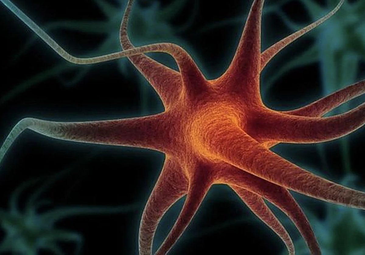 Representación gráfica de una neurona