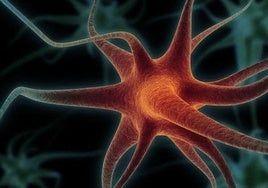 Así se actualiza nuestro mapa mental para ir del dormitorio a la cocina
