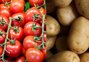 Fruto del 'romance prohibido' de un tomate: así nació la patata