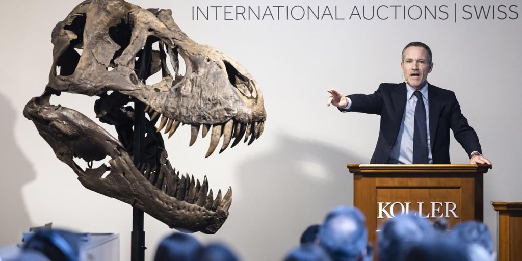  Jurassic Cash : el auge del coleccionismo científico