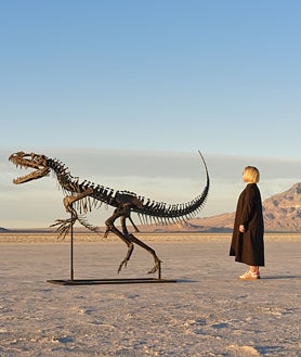 Imagen secundaria 2 - En la imagen grande, 'Apex', el dinosaurio vendido en una subasta de Sotheby's por 44,6 millones de dólares, cifra récord hasta la fecha. En segunda posición, 'Stan', el T.Rex adjudicado en una subasta de Christie's por 31,8 millones de dólares. Por último, el Ceratosaurus recientemente subastado por Sotheby's, que alcanzó los 30,5 millones de dólares