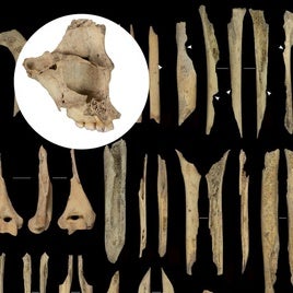 Canibalismo en Atapuerca: once personas, incluidos niños, fueron despellejados y comidos por sus vecinos hace 5.700 años