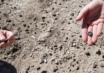 El hallazgo de una especie desconocida cambia la historia de la evolución humana