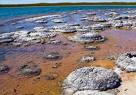 Más cerca del origen de la vida: surgió de forma espontánea en la Tierra primitiva