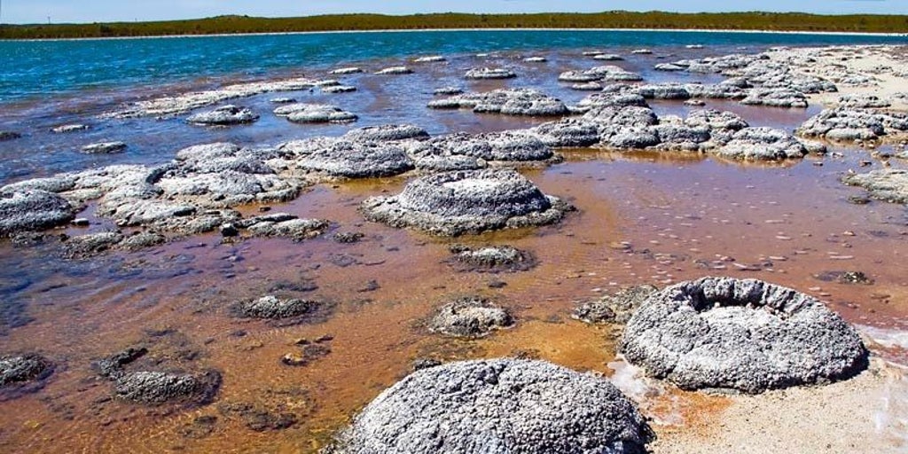 Más cerca del origen de la vida: surgió de forma espontánea en la Tierra primitiva