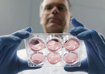 Las dudas científicas a las alternativas a la carne: menos sanas, más caras y riesgo de alergias