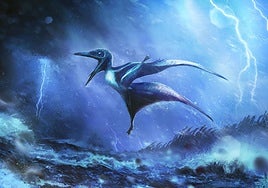 La increíble historia de las crías de pterosaurio derribadas por tormentas