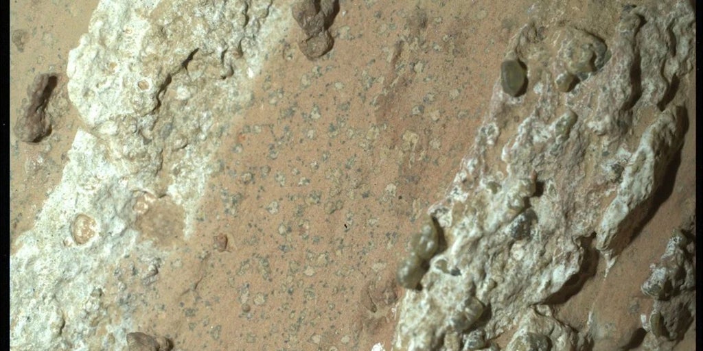 ¿Microbios marcianos?: Un estudio refuerza la teoría de posible vida pasada en Marte
