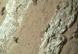 ¿Microbios marcianos?: Un estudio refuerza la teoría de posible vida antigua en Marte