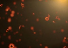 ¿Estamos a punto de ver explotar un agujero negro?