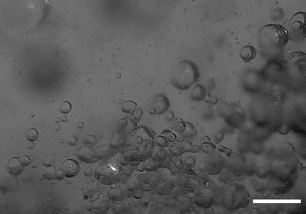 Descubren qué causa los misteriosos fuegos fatuos que aparecen en pantanos y cementerios