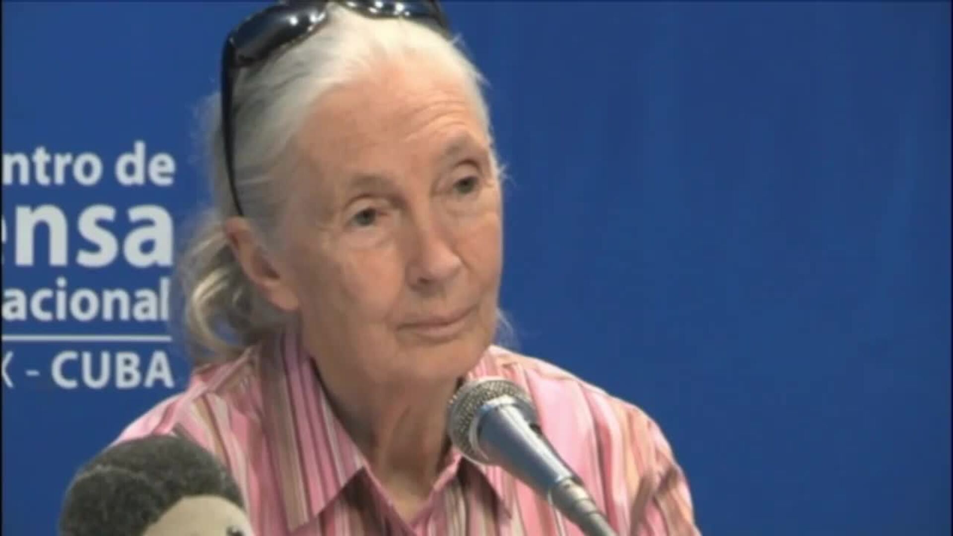 Muere a los 91 años la etóloga británica Jane Goodall, experta mundial en chimpancés