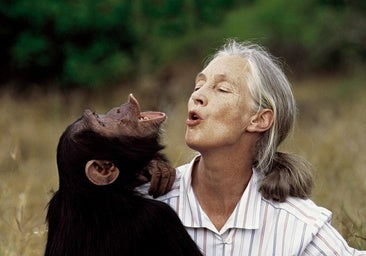Revelan la causa de la muerte de la primatóloga Jane Goodall