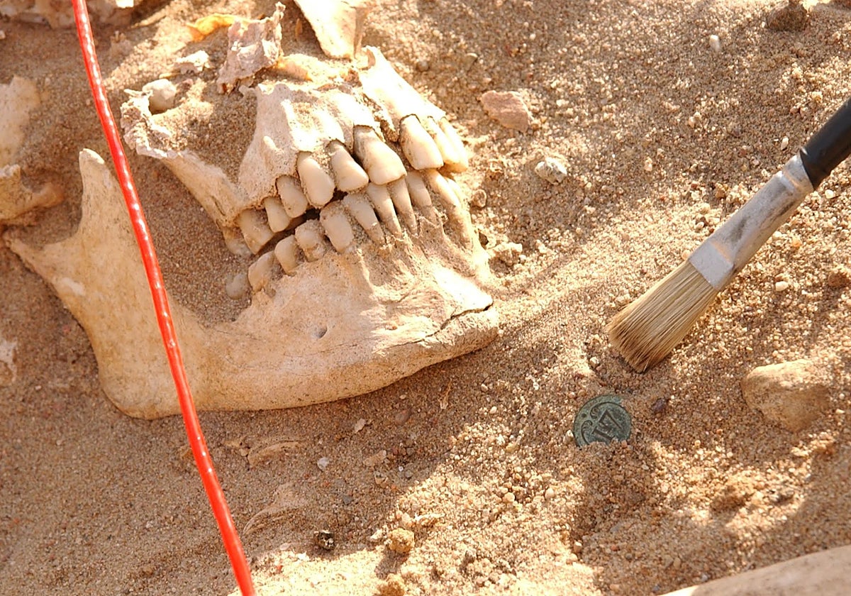 Cráneo de un soldado del ejército de Napoleón junto a un botón de su uniforme