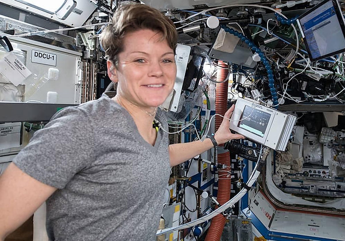 La astronauta Anne McClain