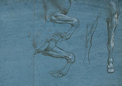 Imagem Secundária 1. Na imagem principal, um dos integrantes do grupo analisa uma carta do tio-avô de Leonardo com um cotonete; abaixo está o desenho “Estudo das patas dianteiras de um cavalo”, atribuído a Da Vinci; À direita está o desenho do “Santo Menino”, principal objeto de estudo.