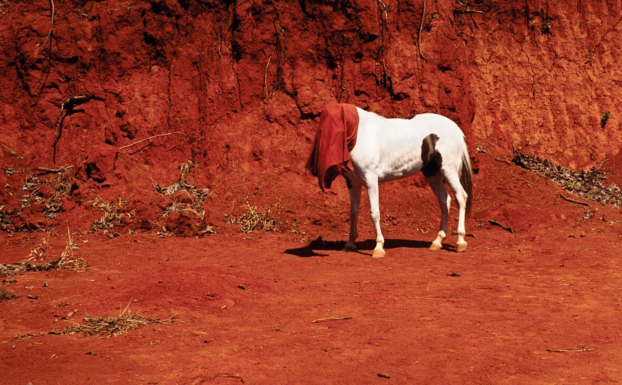 'El conservador' (2005), obra de la brasileña