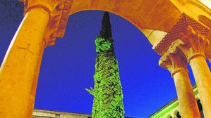 Hablar de Silos es hablar de su claustro y de su ciprés, enhiesto surtidor de sombra y sueño, según los inmortales versos de Gerardo Diego. Tiene unos 30 metros de altura y fue plantado hace 130 años