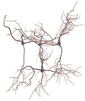 Imagen secundaria 2 - Arriba, obra de Julius Koller en 1MiraMadrid. Sobre estas líneas, las propuestas de Helga de Alvear (Lucio Fontana) y Elvira González (A. Schlosser) 