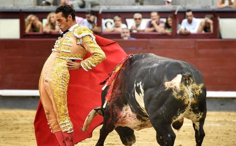 La paradoja del desafío ganadero: el sobrero de Pereda vence a los titulares