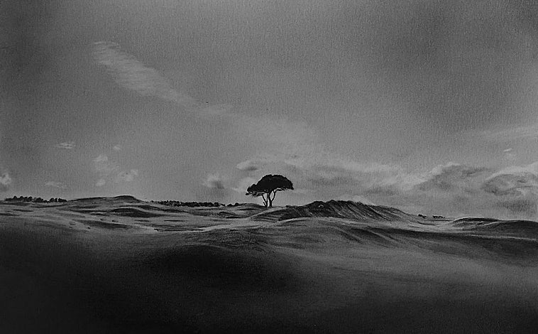 Imagen principal - Arriba, 'Pi Negre', de Eva Miquel, en Altamira. Sobre estas líneas, 'Jade', de Ray Collins, y 'Mimen curiosea bajo la lluvia' (1959), de Gerardo Vielba