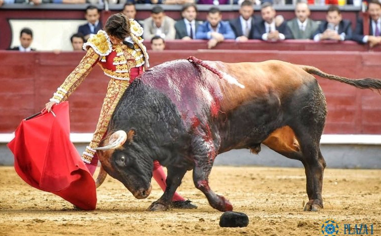 Roca Rey, en un derechazo mandón al sobrero