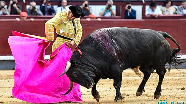 Media verónica para soñar en Otoño